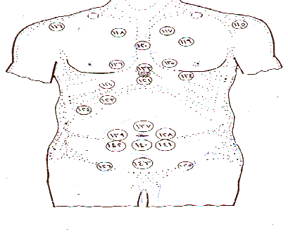 مخطط رقمى لمواضع الحجامة والأمراض التى يناسبها كل موضع برقمه