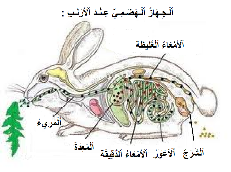 اضغط على الصورة لعرض أكبر. 

الإسم:	image.png 
مشاهدات:	11 
الحجم:	106.1 كيلوبايت 
الهوية:	846464