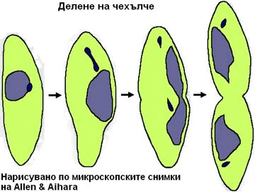 اضغط على الصورة لعرض أكبر. 

الإسم:	image.png 
مشاهدات:	14 
الحجم:	107.9 كيلوبايت 
الهوية:	846488