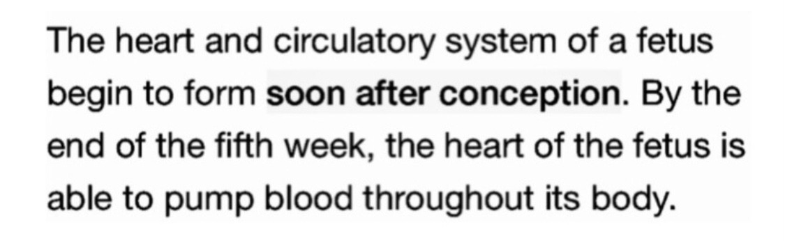 مع نهاية الأسبوع الخامس يصبح قلب الجنين قادراً على ضخ الدم..​