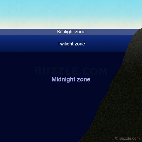 اضغط على الصورة لعرض أكبر. 

الإسم:	500-ocean-light-zones-diagram.jpg 
مشاهدات:	5 
الحجم:	26.7 كيلوبايت 
الهوية:	846689