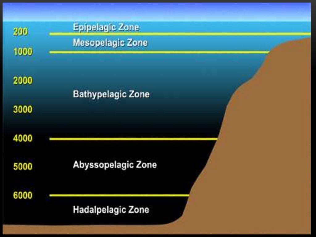 اضغط على الصورة لعرض أكبر. 

الإسم:	layers-of-ocean-2-1024.jpg 
مشاهدات:	5 
الحجم:	79.2 كيلوبايت 
الهوية:	846699