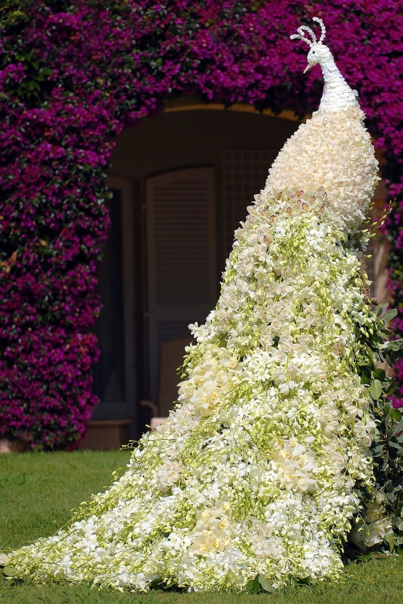 اضغط على الصورة لعرض أكبر. 

الإسم:	Peacock+Flower+Art%E2%97%95+Peacock+made+of+Jasmine+Flowers.jpg 
مشاهدات:	2 
الحجم:	479.3 كيلوبايت 
الهوية:	846753