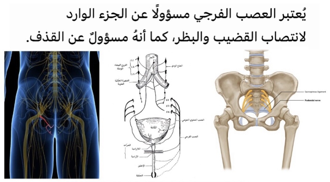 اضغط على الصورة لعرض أكبر. 

الإسم:	IMG_0173.jpg 
مشاهدات:	140 
الحجم:	107.2 كيلوبايت 
الهوية:	847275