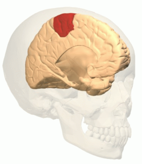 اضغط على الصورة لعرض أكبر. 

الإسم:	dataurl705142.png 
مشاهدات:	65 
الحجم:	249.8 كيلوبايت 
الهوية:	847349