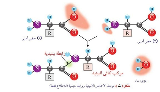 اضغط على الصورة لعرض أكبر. 

الإسم:	4Nc4mV2k433ZH06BBw87dojy11TvLvTxDcUua5jNnB907NUibyQ8GrCYJ_03pSkHj44NnwWi5vJ4Cjgi5tARbxf-ko4JjFawOc-cPDgQ6Kna4E0l3ybSXxMGeRBNfoF9eZGGkrEJVgDSUNQlWG71B9Q.png 
مشاهدات:	0 
الحجم:	146.2 كيلوبايت 
الهوية:	847506