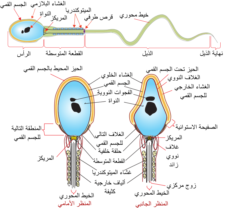 اضغط على الصورة لعرض أكبر. 

الإسم:	image.png 
مشاهدات:	8 
الحجم:	228.2 كيلوبايت 
الهوية:	847744