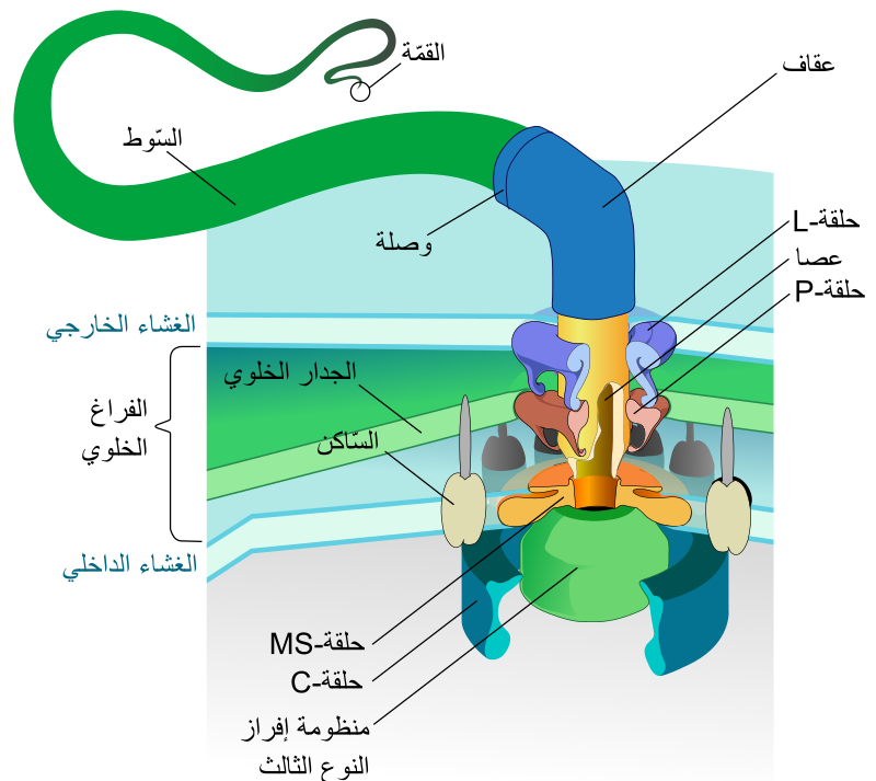 اضغط على الصورة لعرض أكبر. 

الإسم:	image.png 
مشاهدات:	8 
الحجم:	142.4 كيلوبايت 
الهوية:	847746