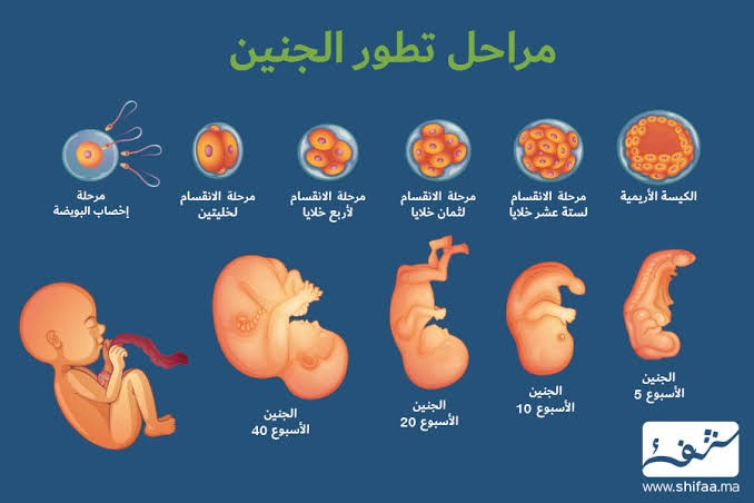 اضغط على الصورة لعرض أكبر. 

الإسم:	IMG_1247.jpg 
مشاهدات:	0 
الحجم:	48.2 كيلوبايت 
الهوية:	847904