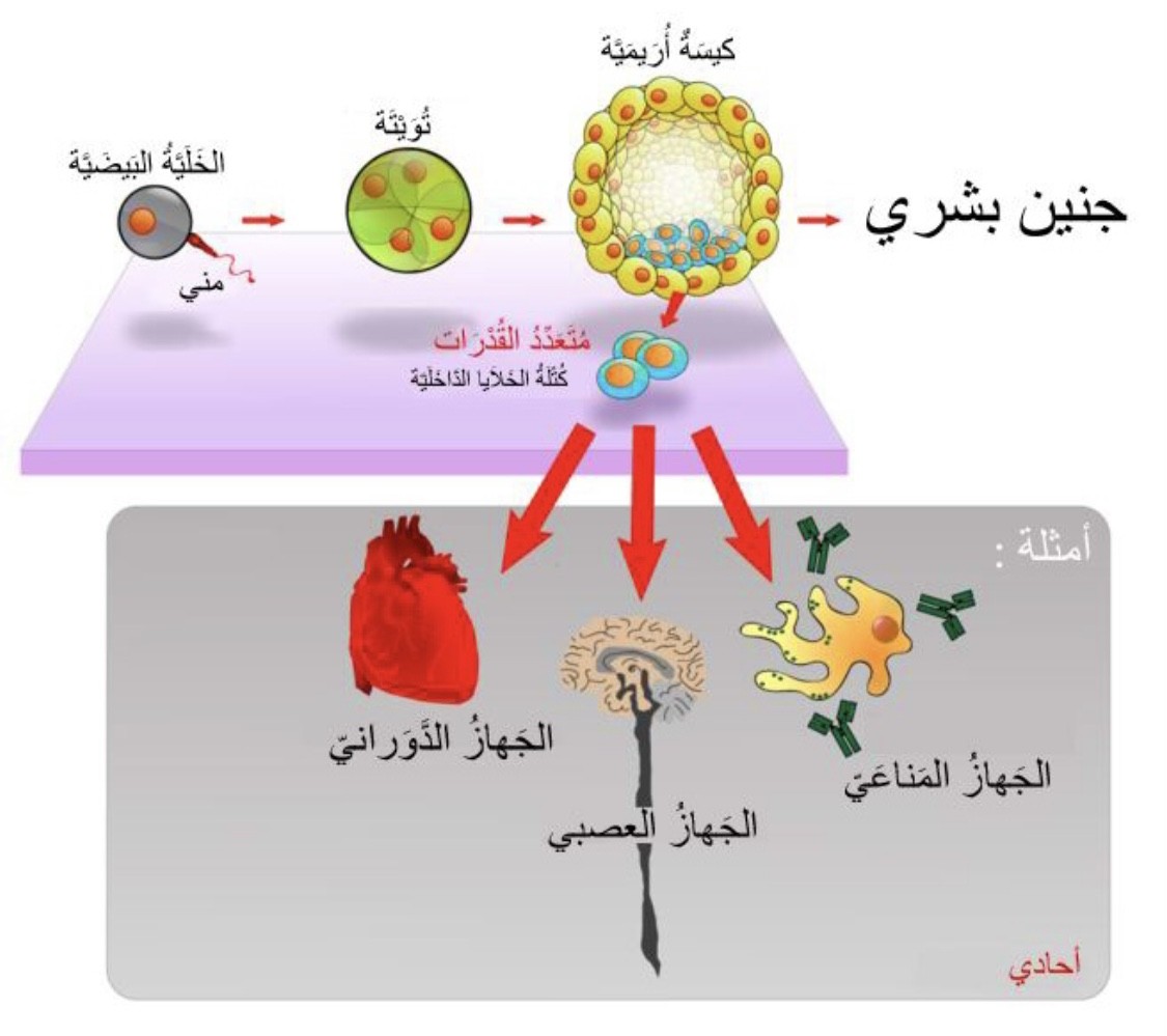 اضغط على الصورة لعرض أكبر. 

الإسم:	IMG_0143.jpg 
مشاهدات:	10 
الحجم:	113.4 كيلوبايت 
الهوية:	847965