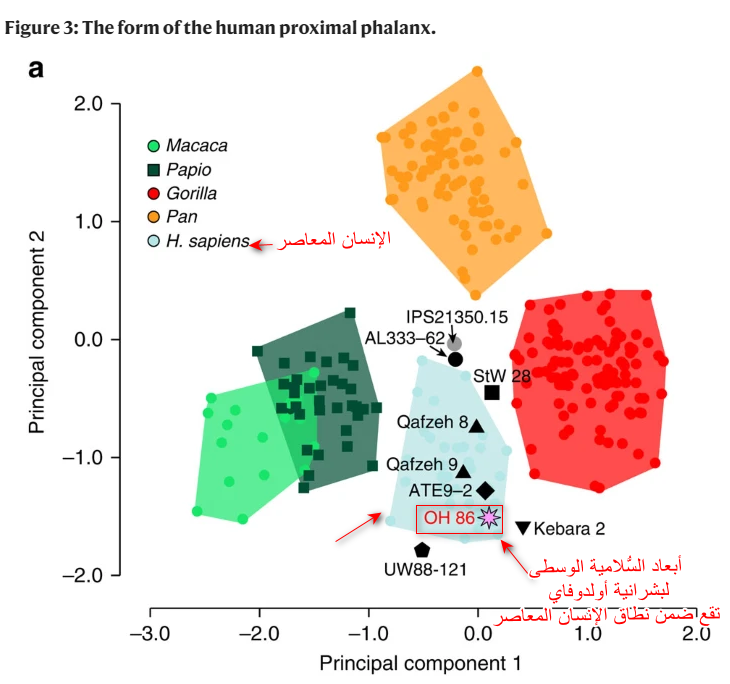 اضغط على الصورة لعرض أكبر. 

الإسم:	2.png 
مشاهدات:	94 
الحجم:	229.0 كيلوبايت 
الهوية:	848409