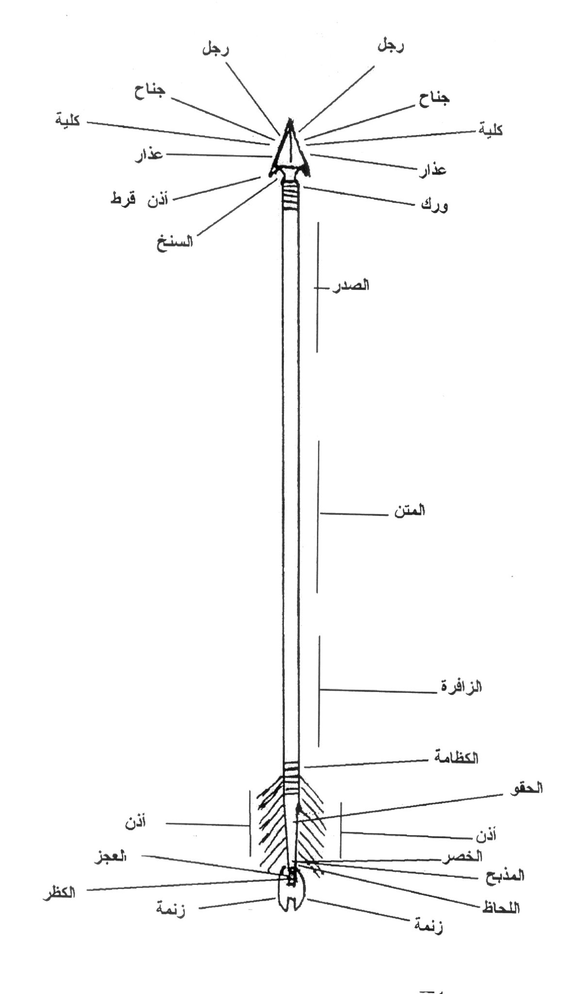 اضغط على الصورة لعرض أكبر. 

الإسم:	image.png 
مشاهدات:	0 
الحجم:	424.4 كيلوبايت 
الهوية:	849148