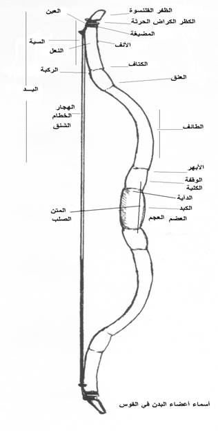 اضغط على الصورة لعرض أكبر. 

الإسم:	image.png 
مشاهدات:	0 
الحجم:	86.7 كيلوبايت 
الهوية:	849149