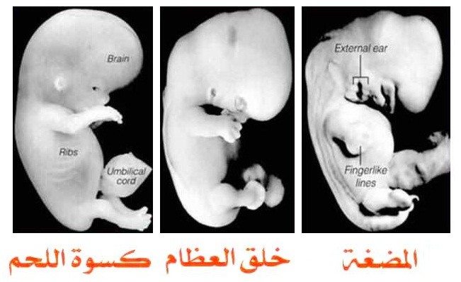 اضغط على الصورة لعرض أكبر. 

الإسم:	WJZpOHc.jpg 
مشاهدات:	4 
الحجم:	54.1 كيلوبايت 
الهوية:	849501