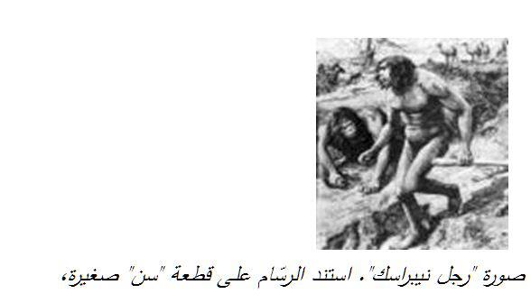 في العام 1922م، تم اكتشاف سنّ واحد في "نبراسكا" الغربية western Nebraska (الولايات المتحدة)، وقد صرح عدد من العلماء بأنه يجمع بين خواص الشيمبانزي والإنسان. وقد اشتّهر باسم "رجل نيبراسكا" Nebraska man واعتبره البعض بأنه يمثّل احتمالية كبيرة لأن يكون أحد أسلاف الإنسان المباشرين. بعد خمسة سنوات فقط، أُعلن بأن هذا السن يعود في الحقيقة إلى خنزير!